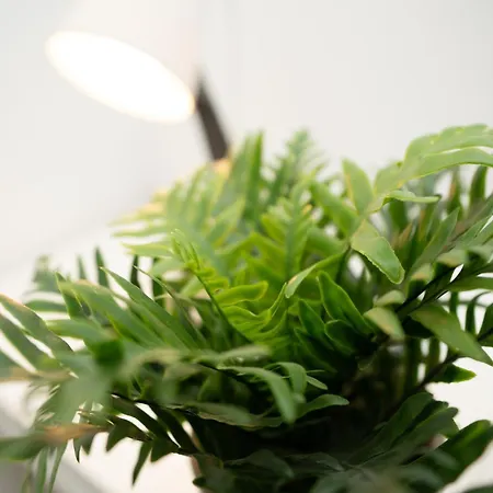 Bege Lighthaus 아파트