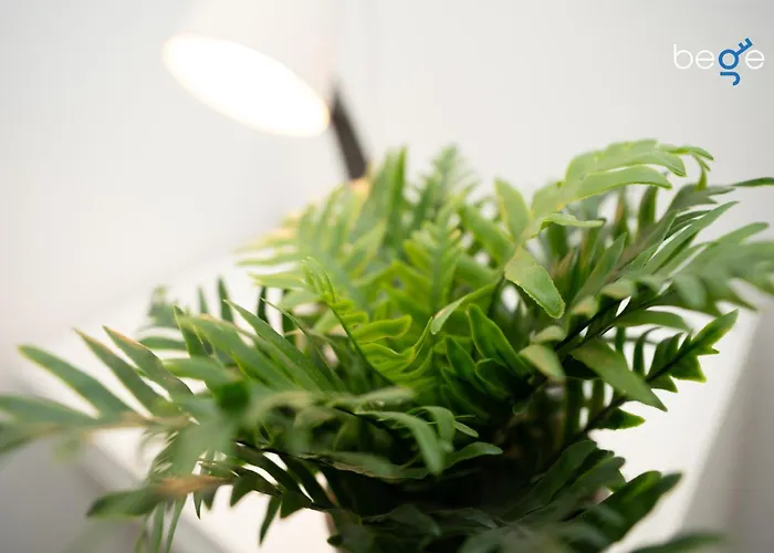 Bege Lighthaus Appartement